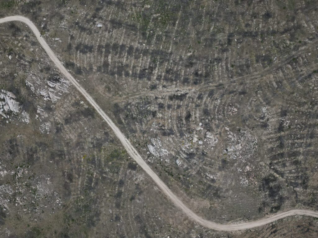 From devastation to conservation: post-wildfire resilience in Spain
