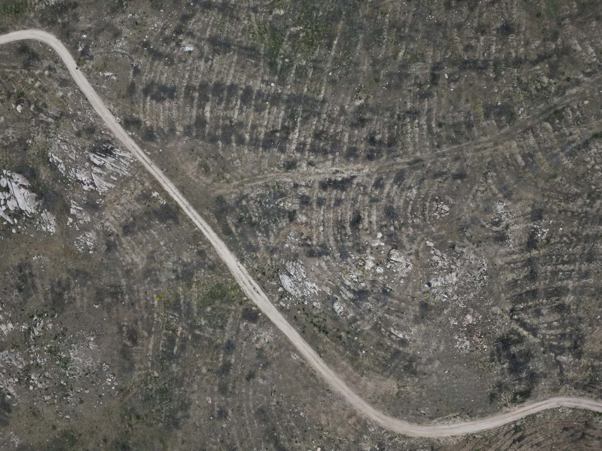 Devastation to conservation