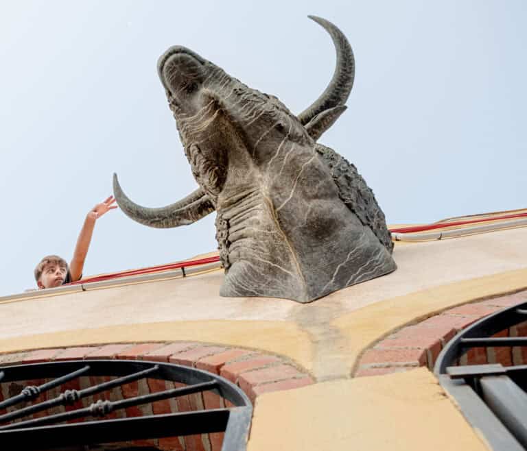 The other Desertification