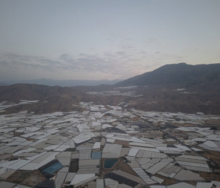 Shadows on the Sea of Plastic