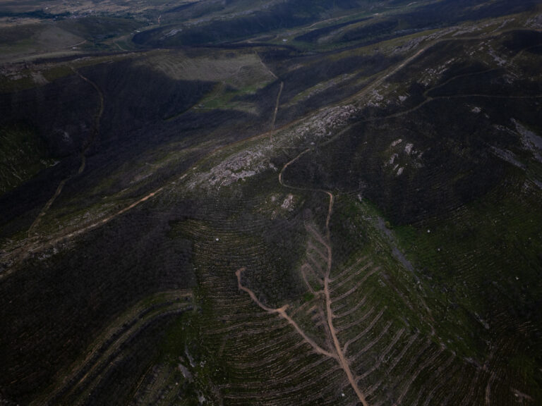 Chronicle of a Premonition: The Extreme Wildfires Defining the World’s New Reality