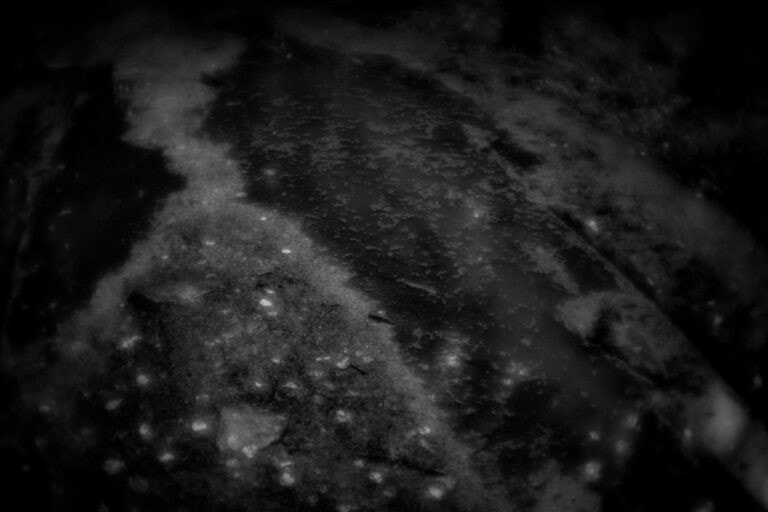 Black Earth · Jozefien Van der Aelst