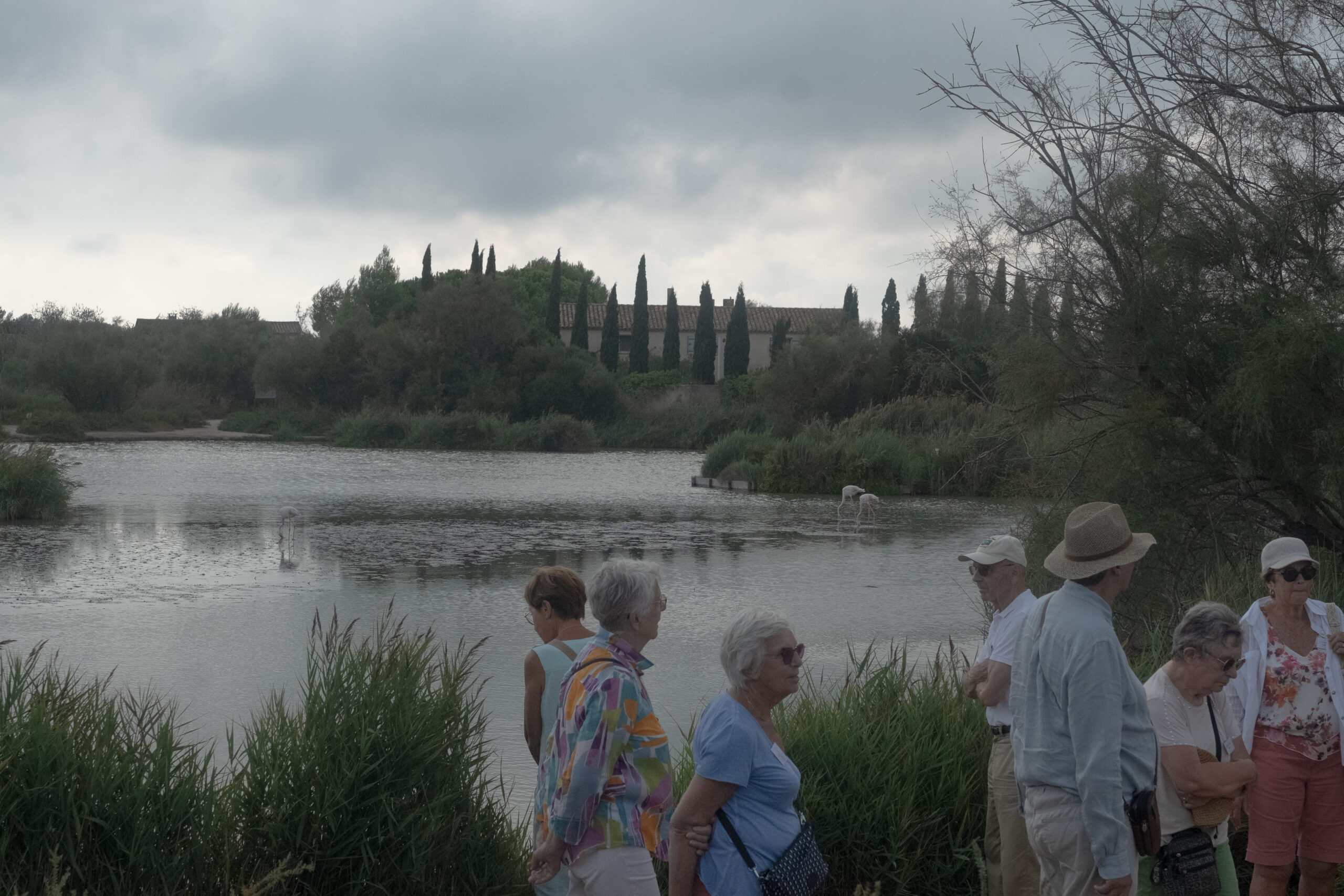 Visitors watching flamingos at a bird reserve in the Camargue, September 2026